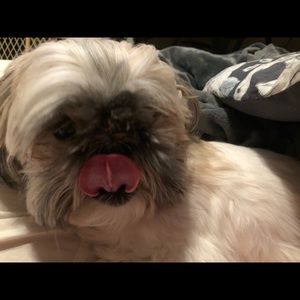 Meet your Posher, Whitney